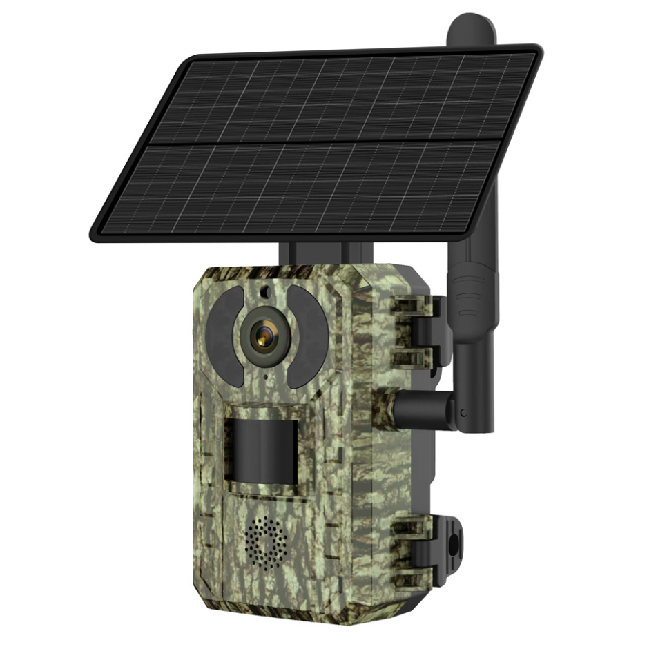 CAMERA 17-15