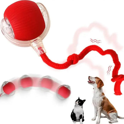 🐾 Jucărie Interactivă pentru Animale – Activare la Atingere