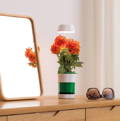 Ghiveci Inteligent cu Auto-Udare si Lumina LED pentru Plante de Interior - 9