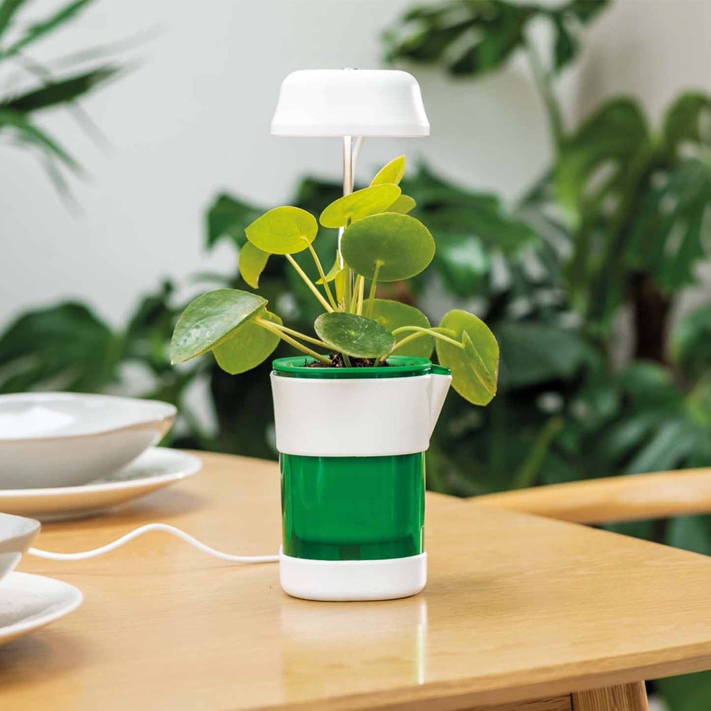 Ghiveci Inteligent cu Auto-Udare si Lumina LED pentru Plante de Interior - 11