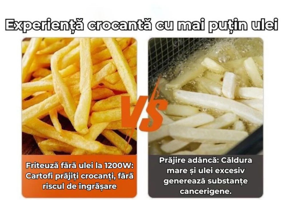 FRITEUZA 12L