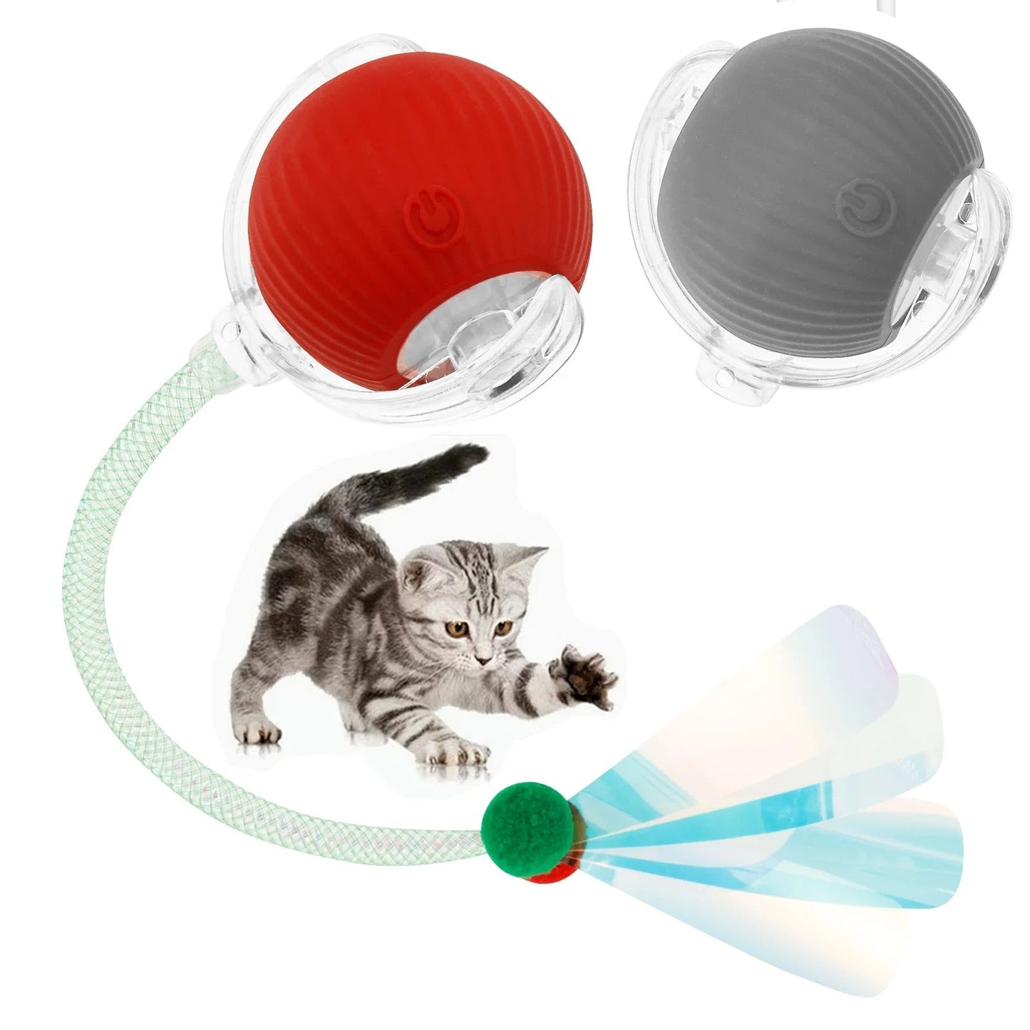 JUCARIE ANIMALE