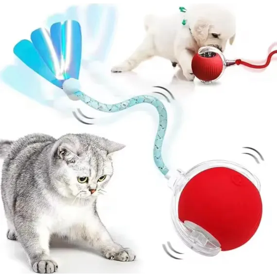 JUCARIE ANIMALE