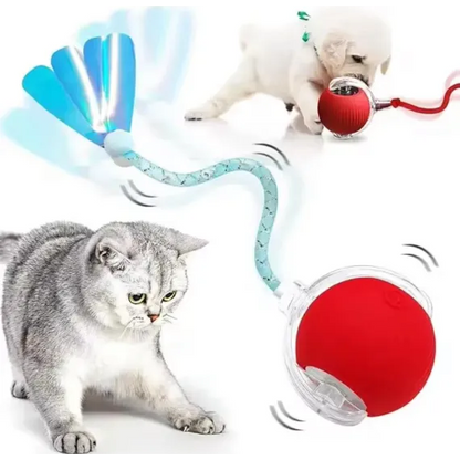 JUCARIE ANIMALE
