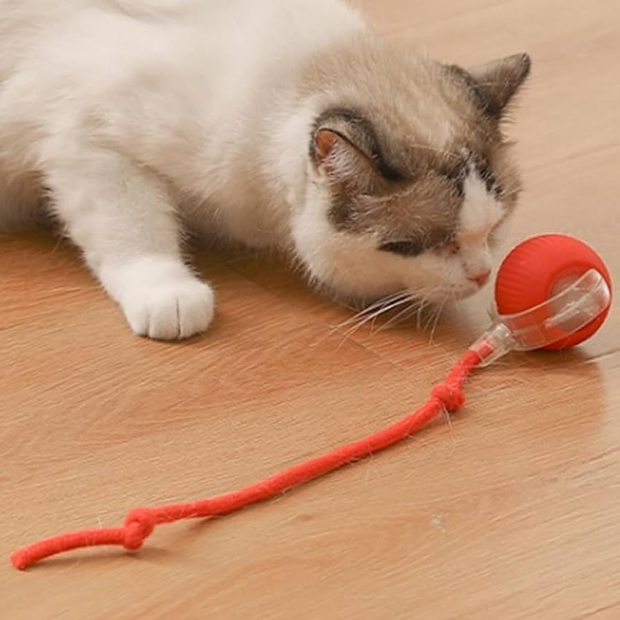 🐾 Jucărie Interactivă pentru Animale – Activare la Atingere
