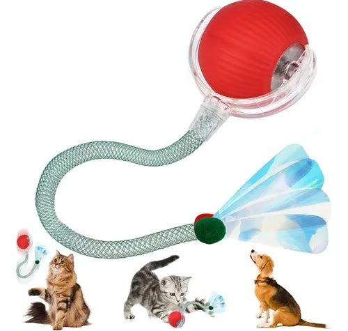 JUCARIE ANIMALE