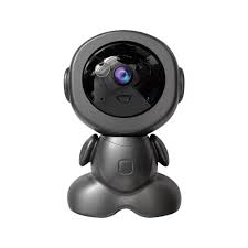 CAMERA ANIMALE