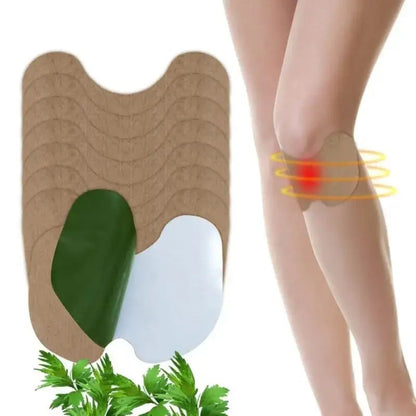Set 10 Plasturi cu Extracte Vegetale pentru Genunchi, Spate, Gat si Umeri – Aplicare Externa