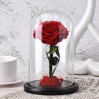 OFERTA PACHET TRANDAFIR ETERN ROSU + TRANDAFIR IN CUTIE DE BIJUTERII